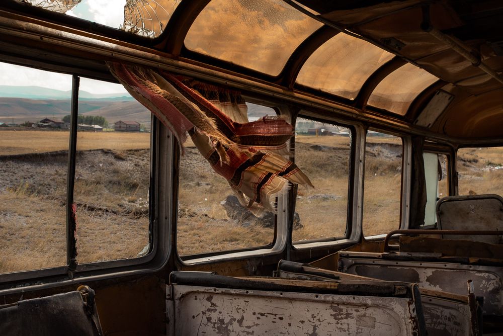 Into The Wild