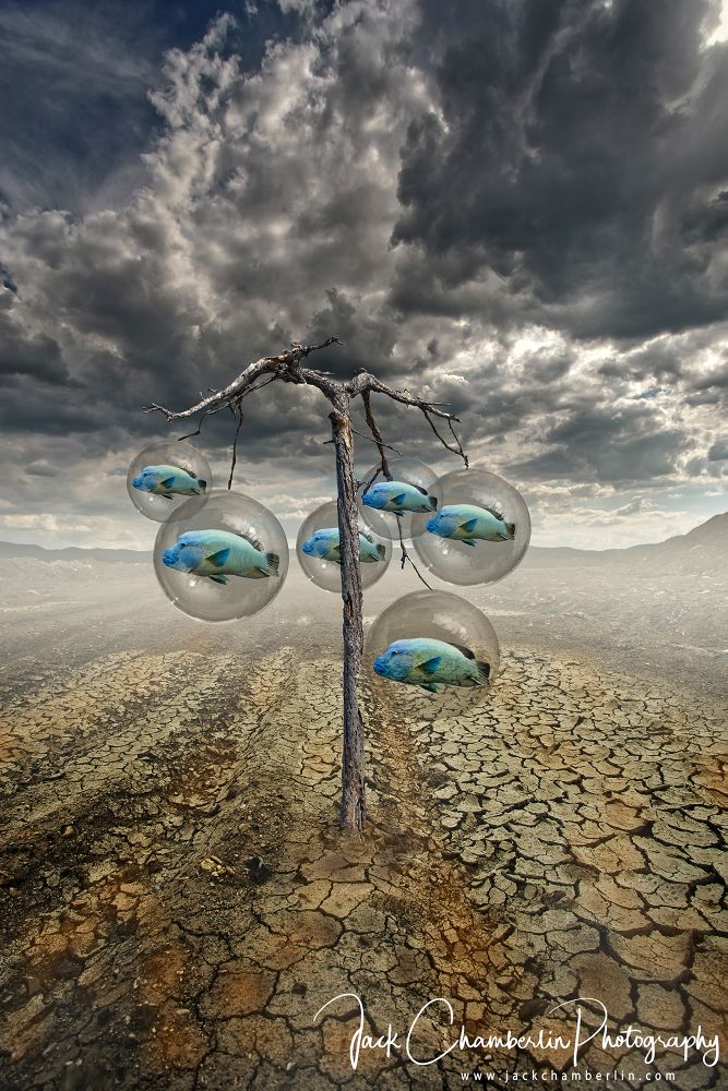 In Homage to the Unconscious