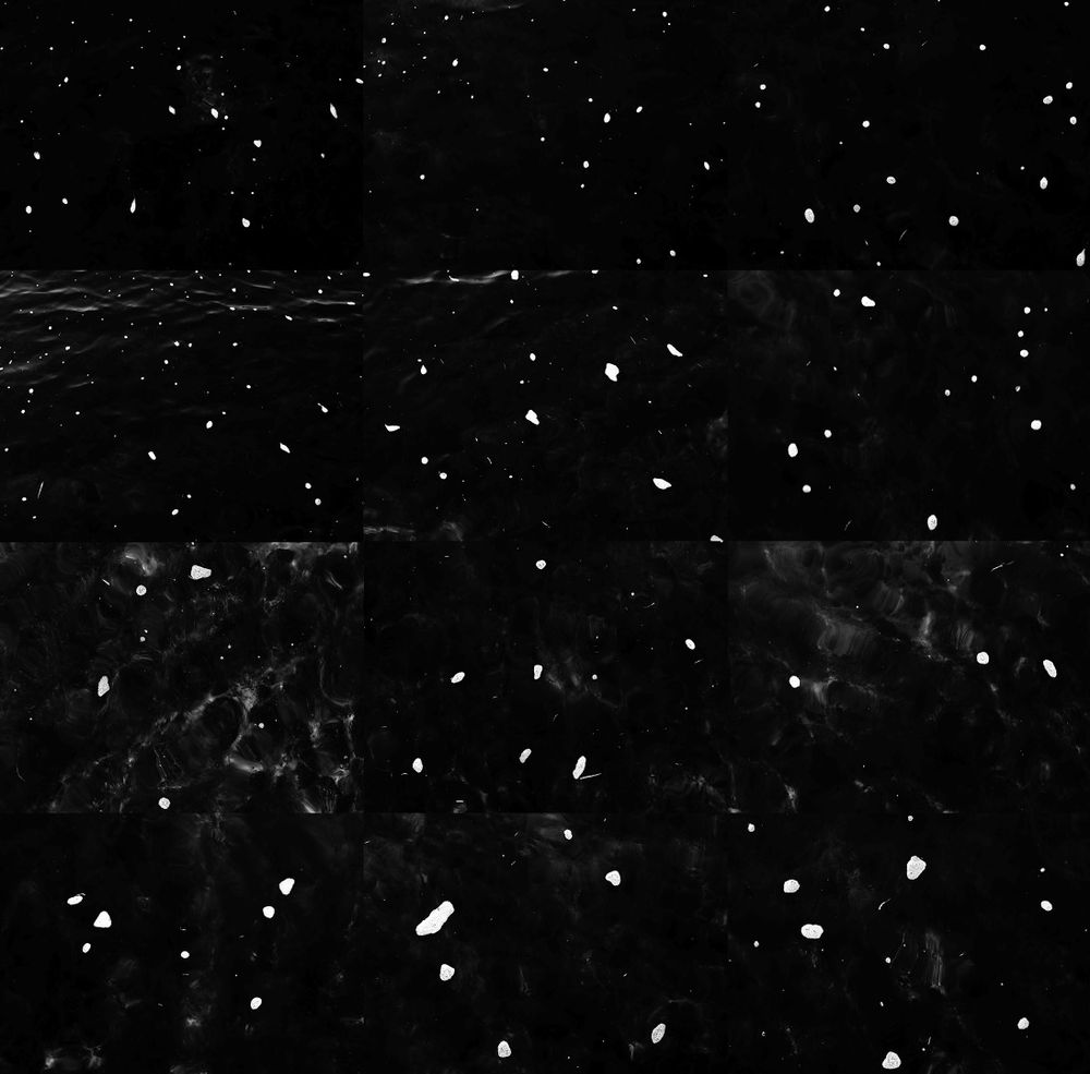 Celestial Navigation