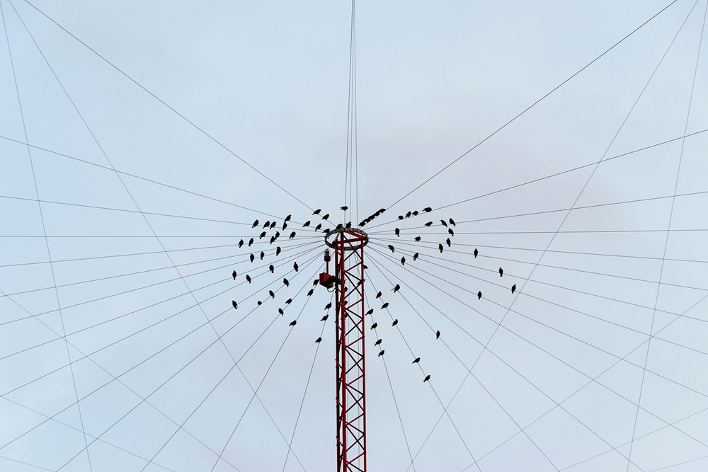 Le geometrie della natura  e della finzione