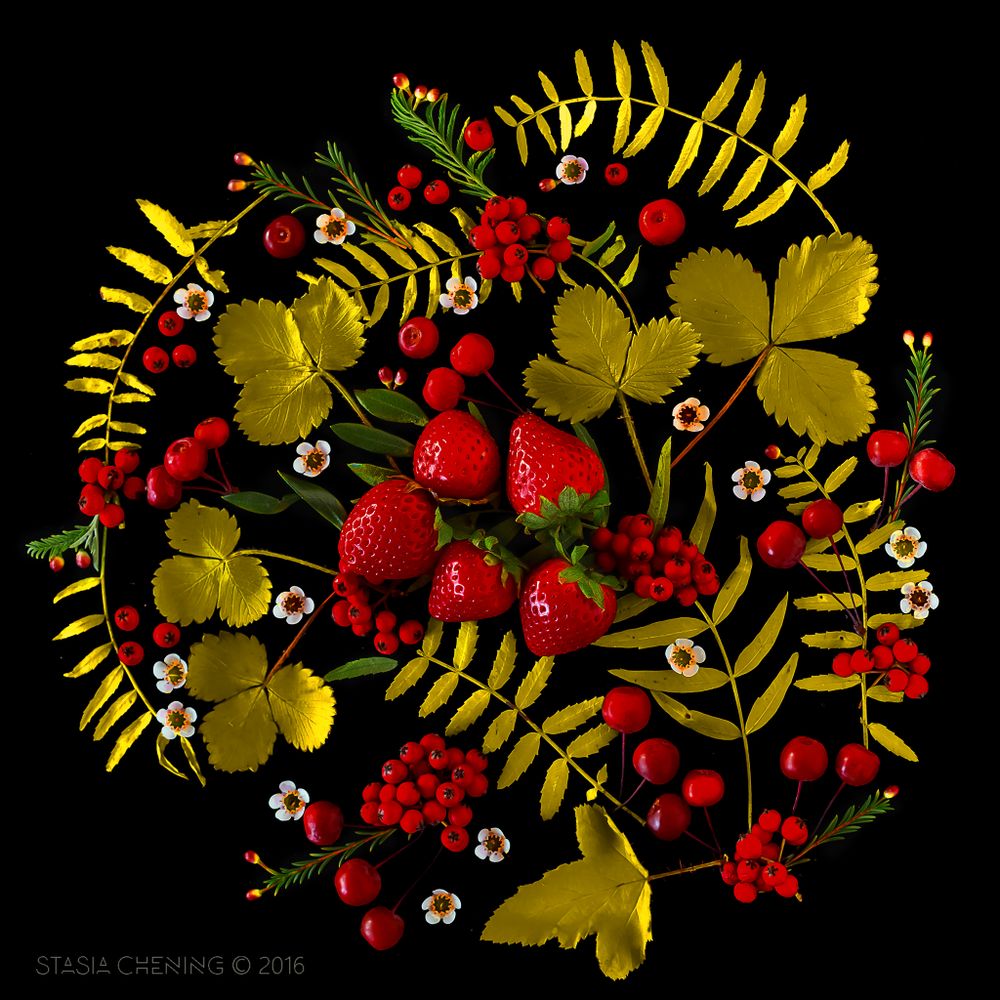 Still Lifes