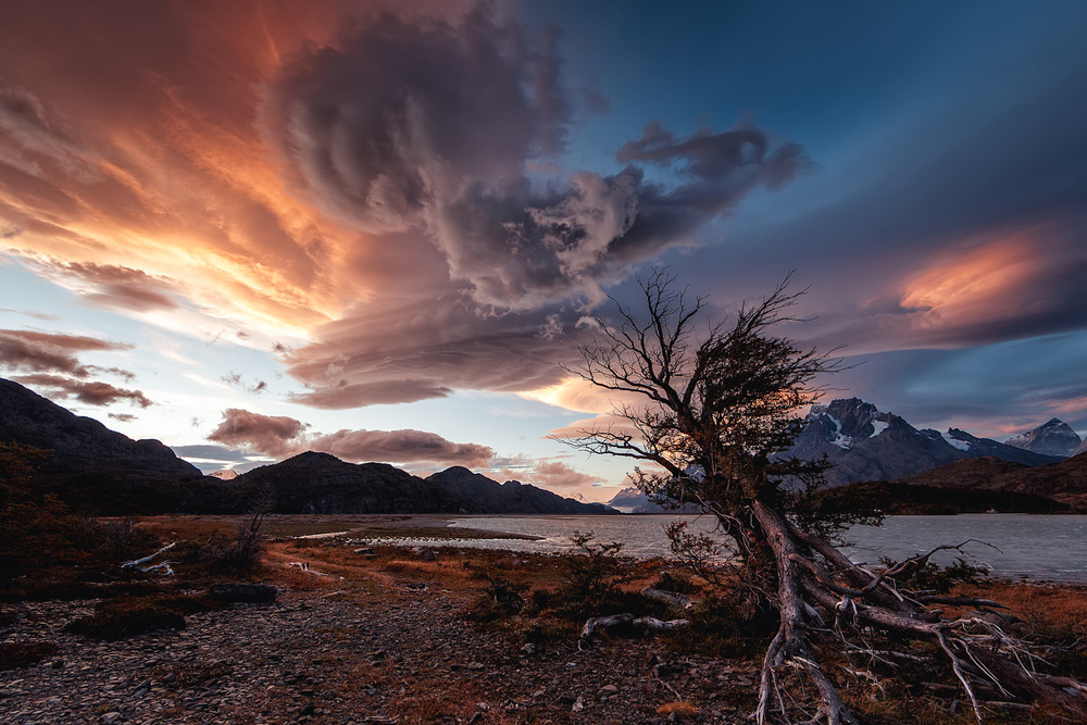 Patagonia
