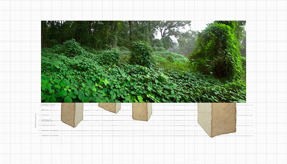 Jay Gould The Participatory Universe LensCulture