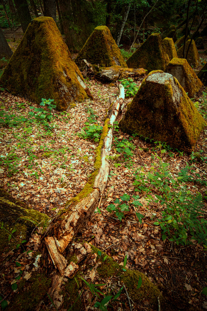 Wall