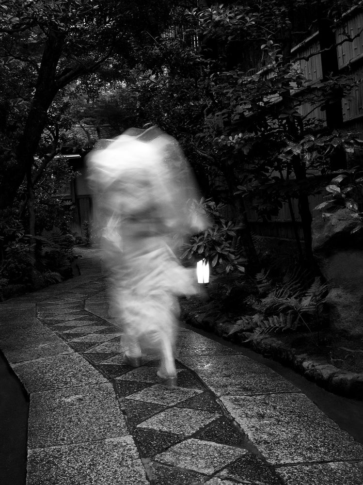 HIKARI (luz, light).