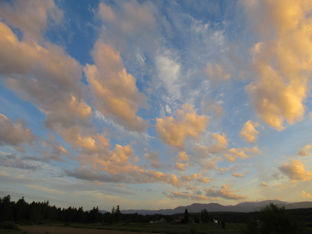 Wayne Brown Submission LensCulture