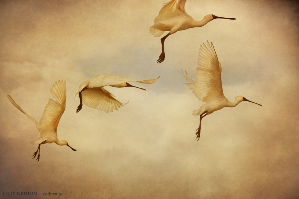 Flight