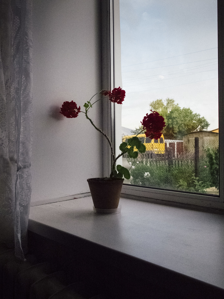 Houseguest : Feeling at Home on Sunny Street