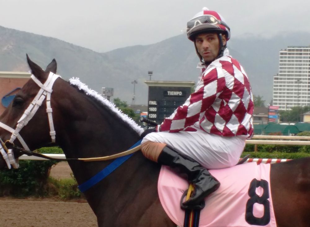 Horse_Jockey_Chile