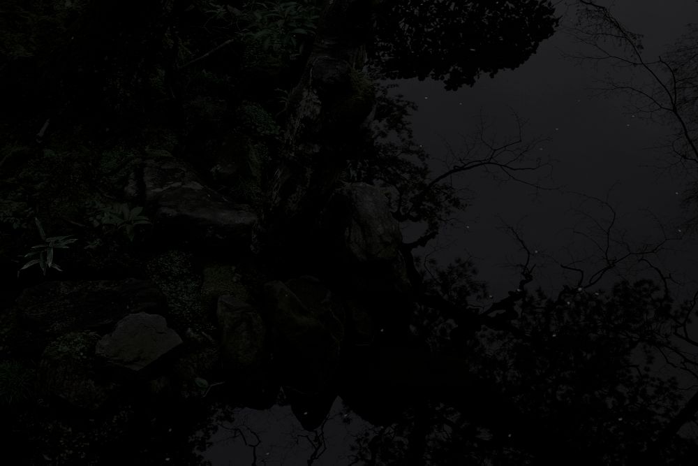 Japanese Gardens