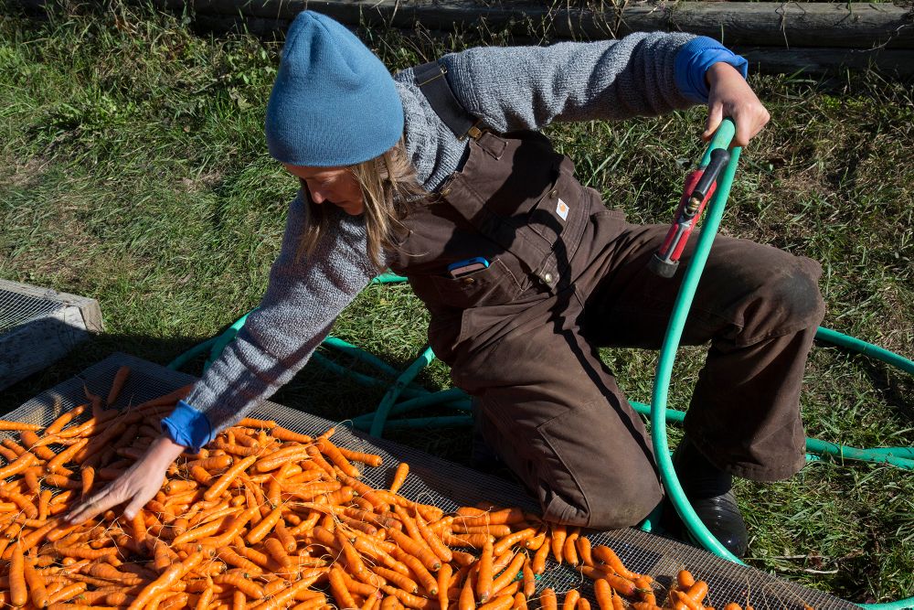 CSA Hope's Edge Farm