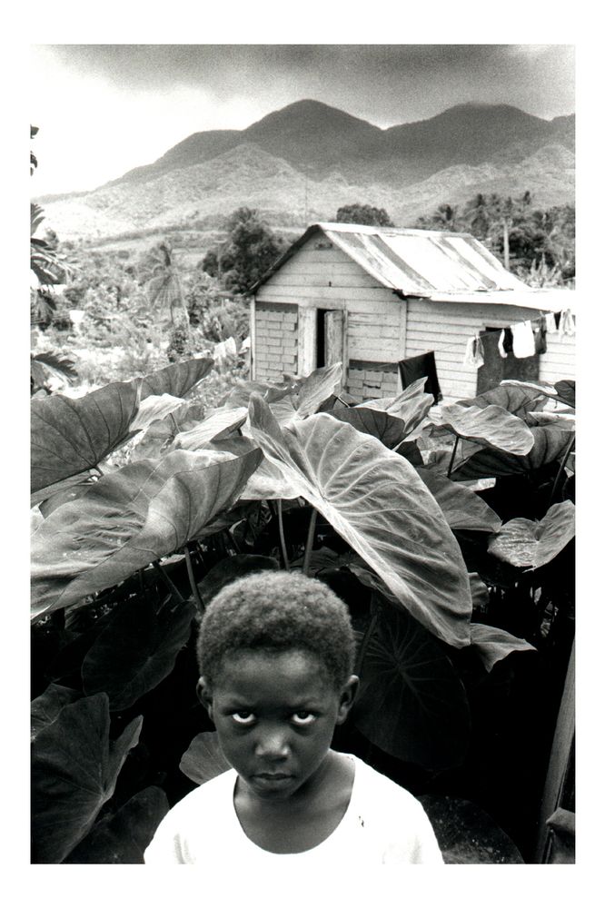 Montserrat: Portrait of an Island before the Volcano