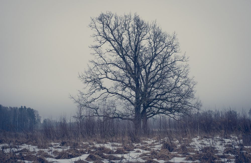 Visual Diary of a Nomad