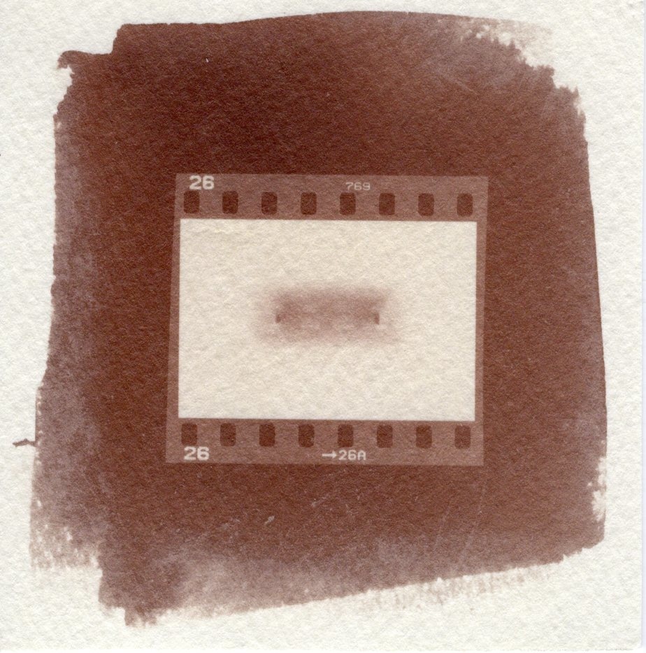 [ predilection ] - (uzuraranshi : albumen print with quail egg white)
