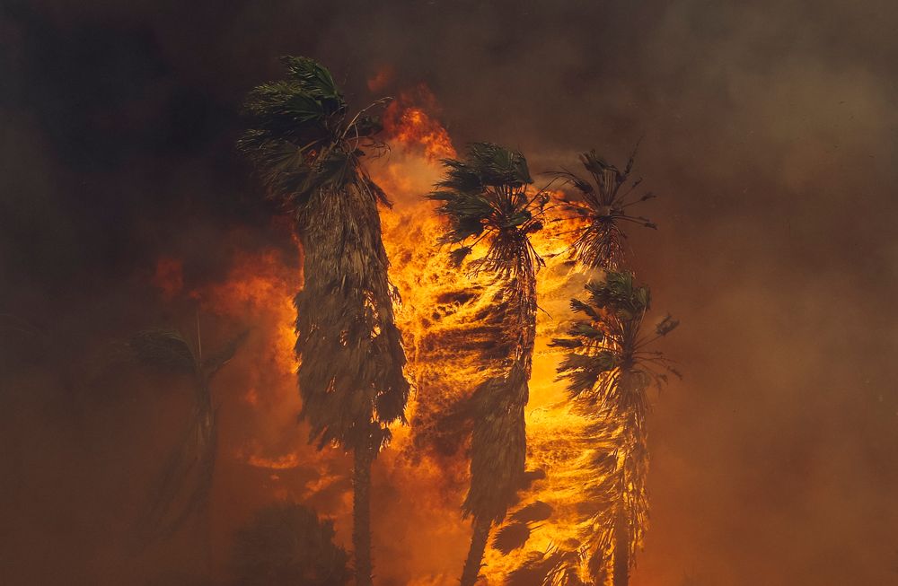 Eden in Ashes 