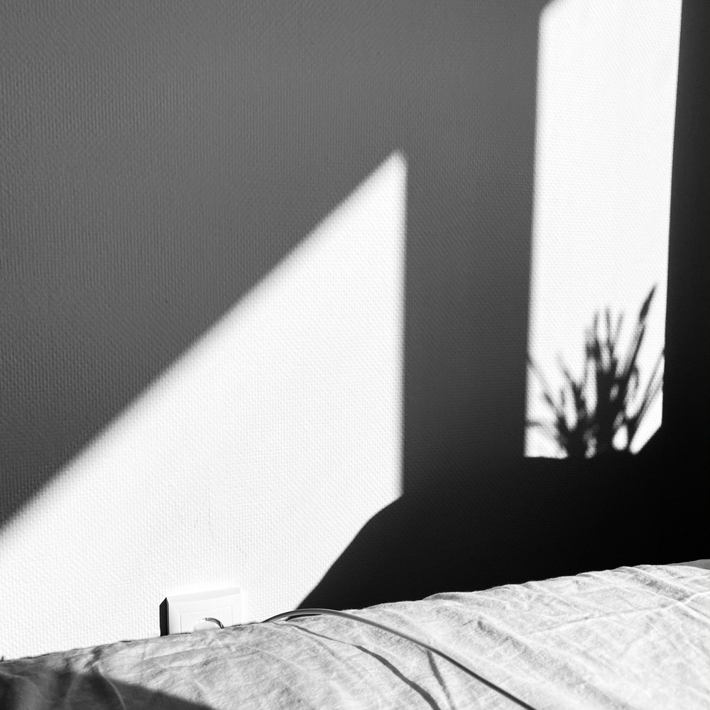 Shadow in My House (ongoing)