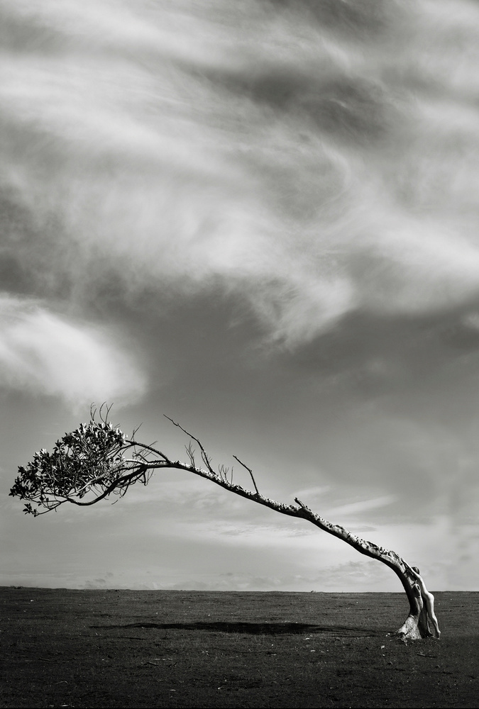 Human Nature - Tasmania, Australia