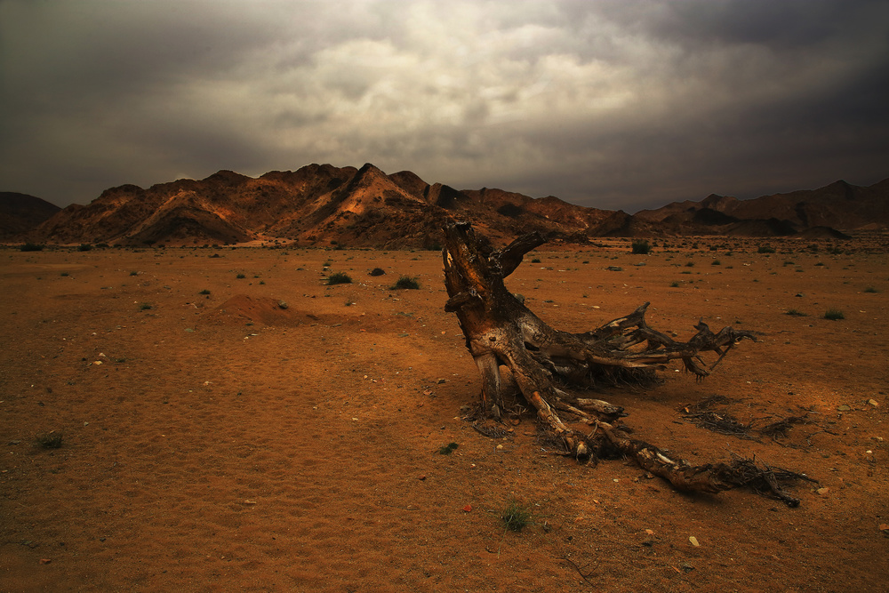 The arid North-West