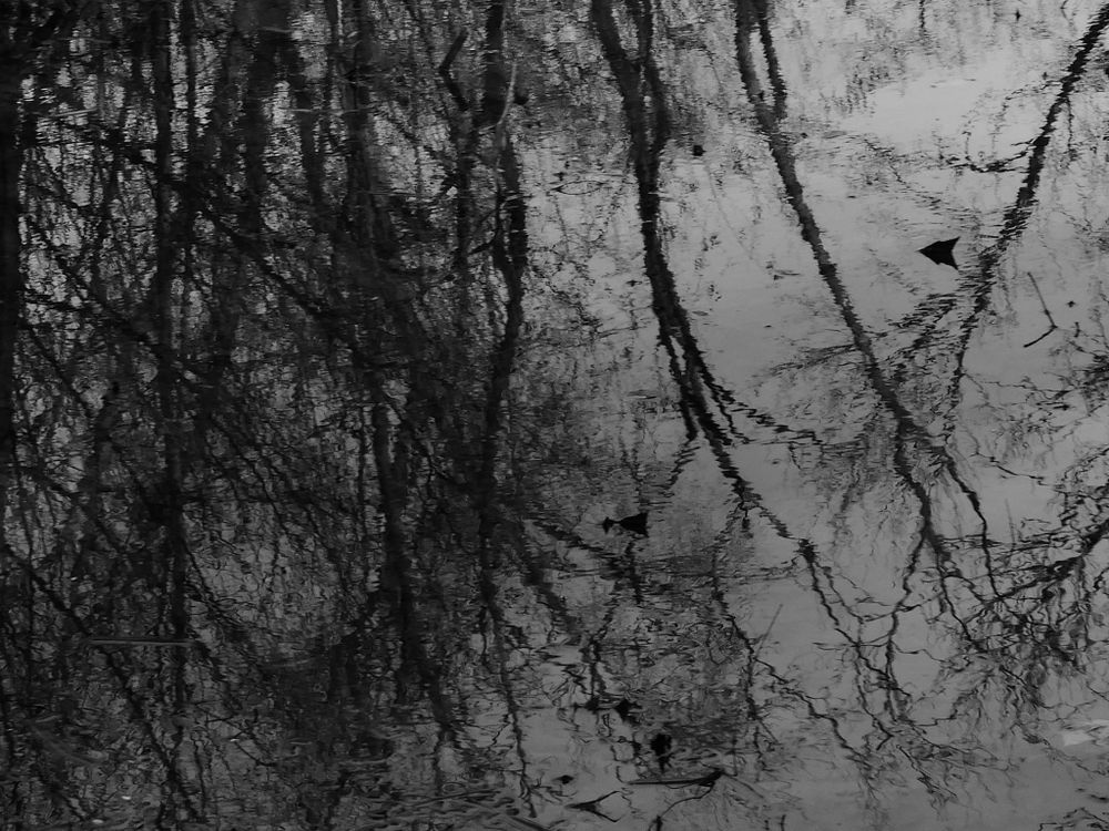 Project: Stillness