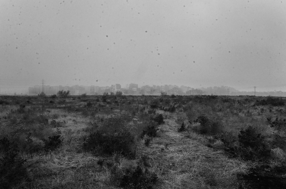 The city is dead