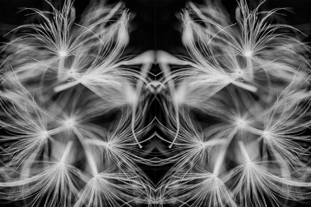 Exploring the Interesting Phenomenon of Pareidolia
