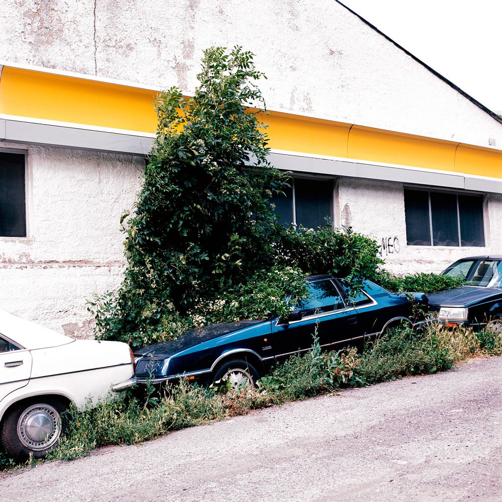 Valira Drive 