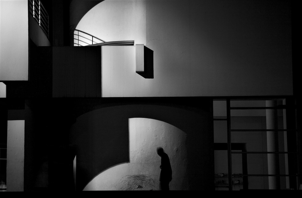 Observing the physical world: Human Beings