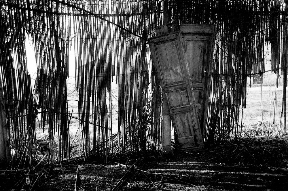 A M@IL FROM THE MOON