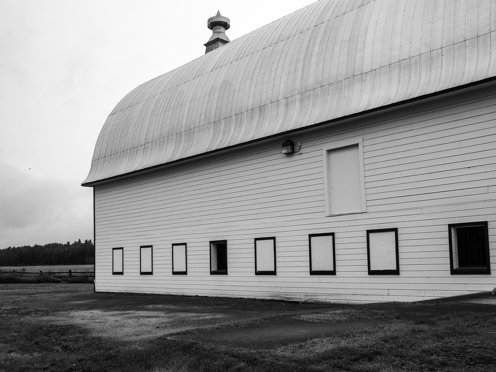 Stephen Cysewski Creamer's Field Walk July 1st 2015 LensCulture
