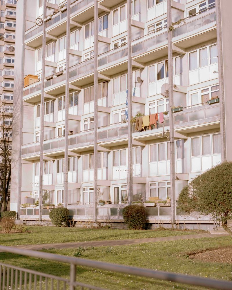 Max Miechowski Brixton Flowers LensCulture