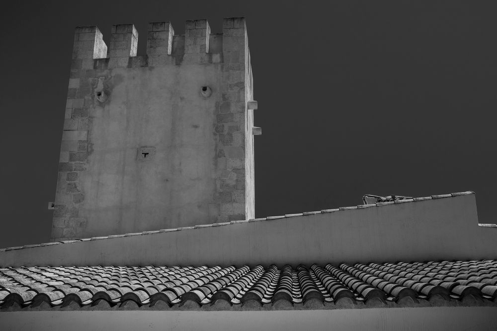 Towers of the Orchard/Torres de la Huerta/