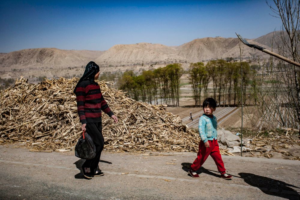 Uighurs