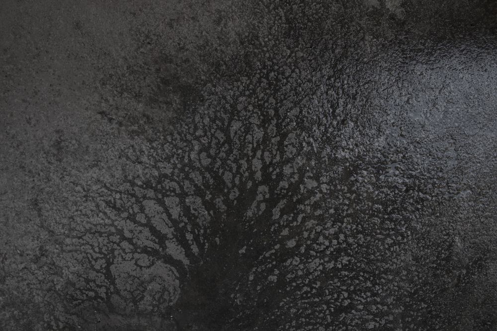 Baghmati_ on the verse of disperse