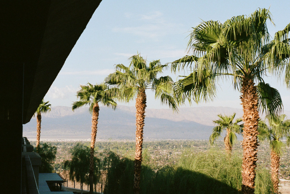 Ross Landsman Nature LensCulture