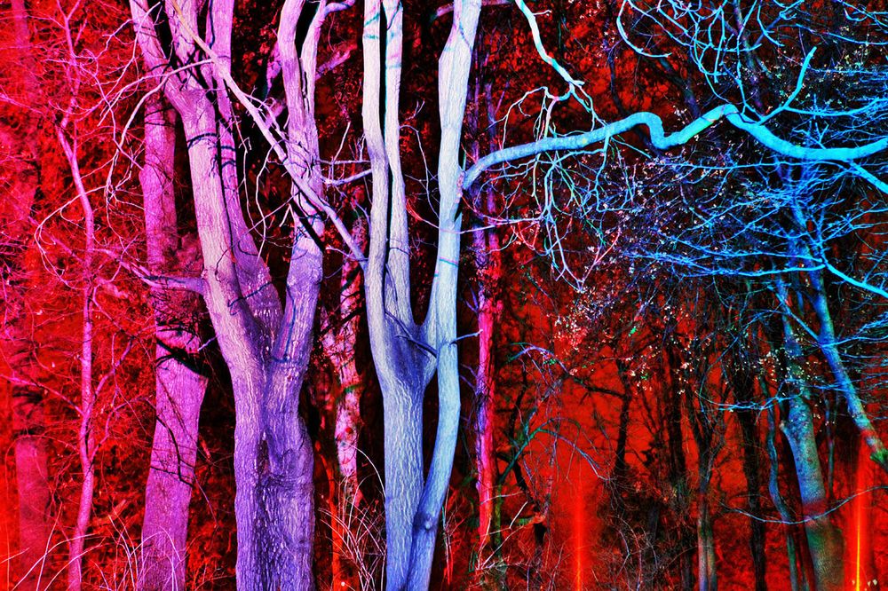 NEON/NATURE