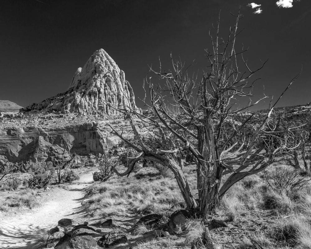 The Timeless American West