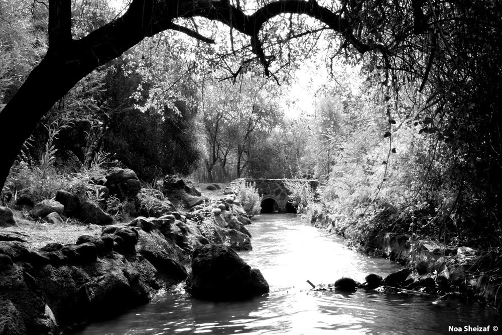 A day by the River