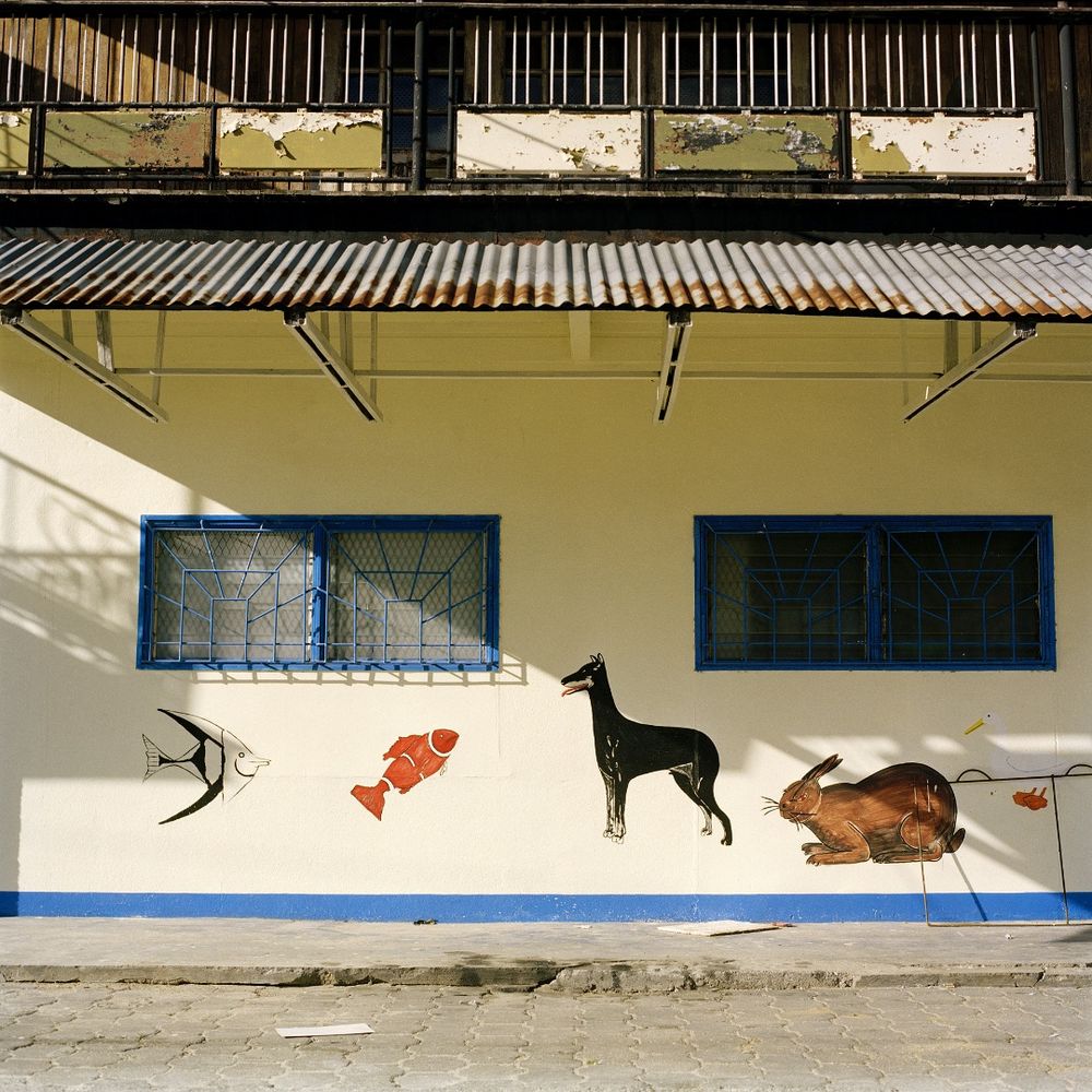 Cityscapes Paramaribo Surinam