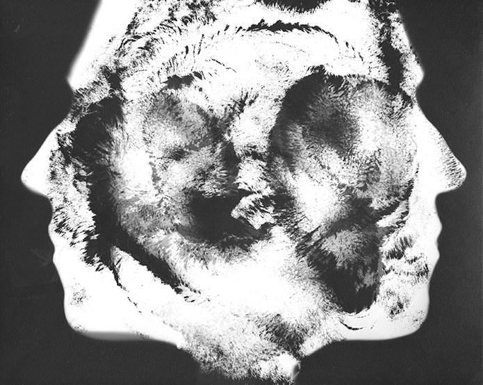 Photograms