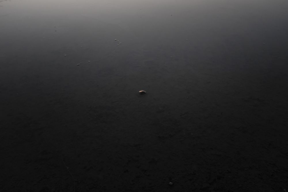 An open window