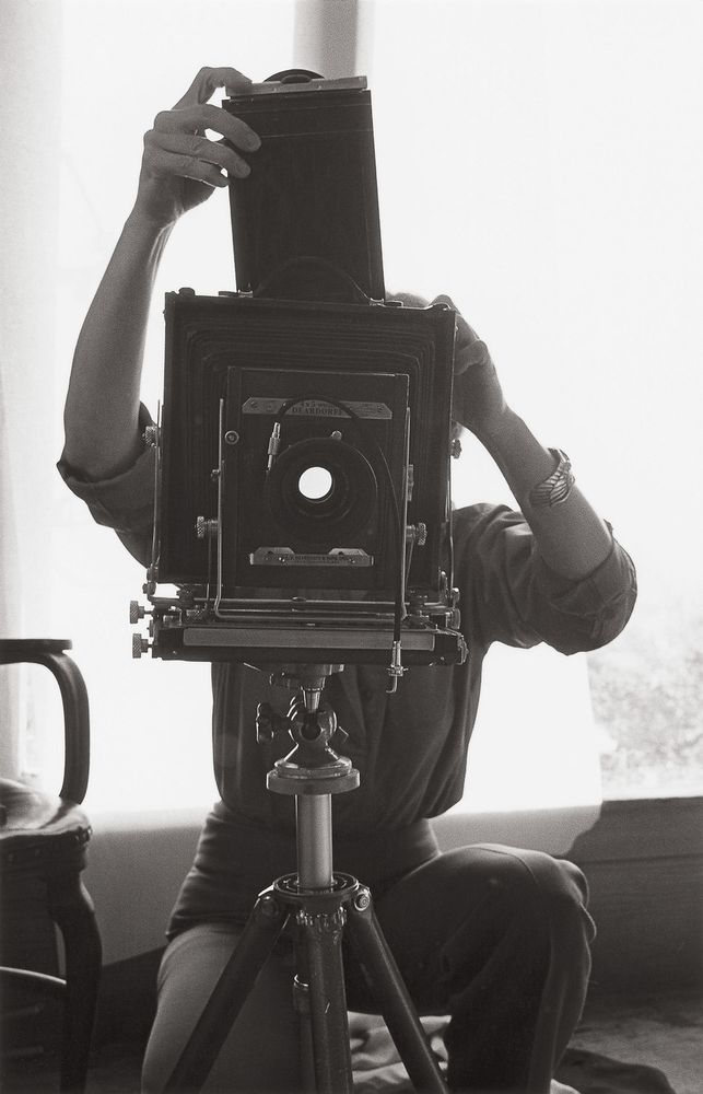 Selections from the Rondal Partridge Archive