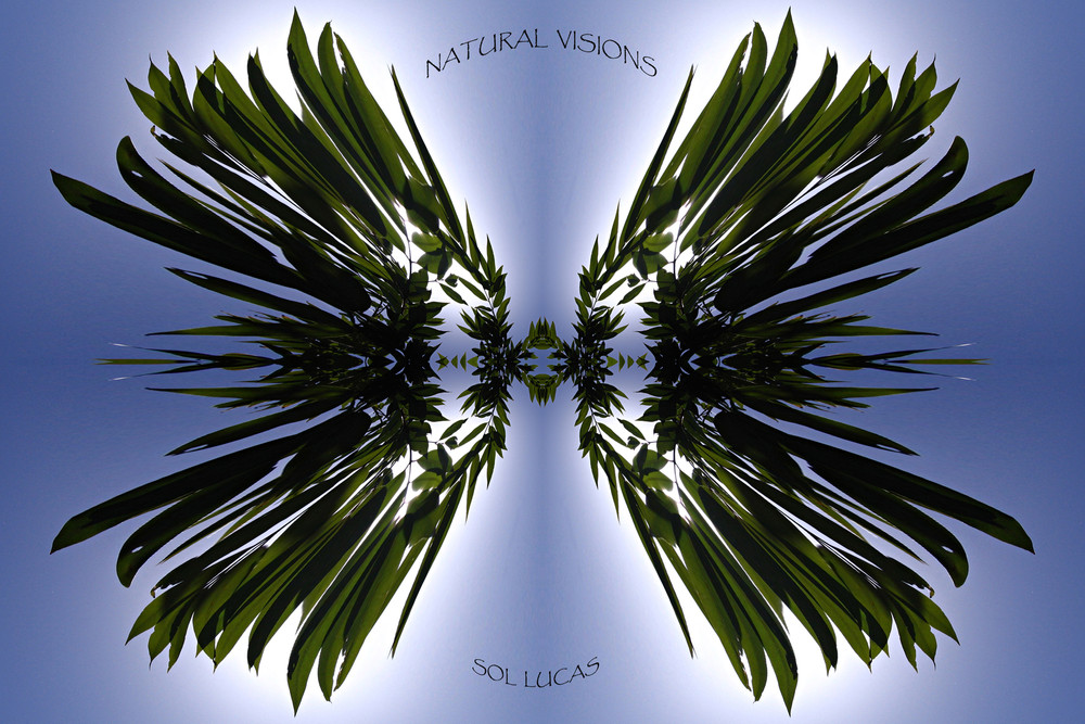Natural Visions