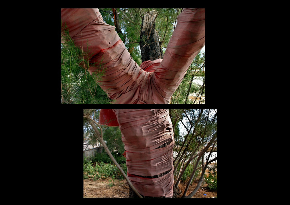HEALING TREE