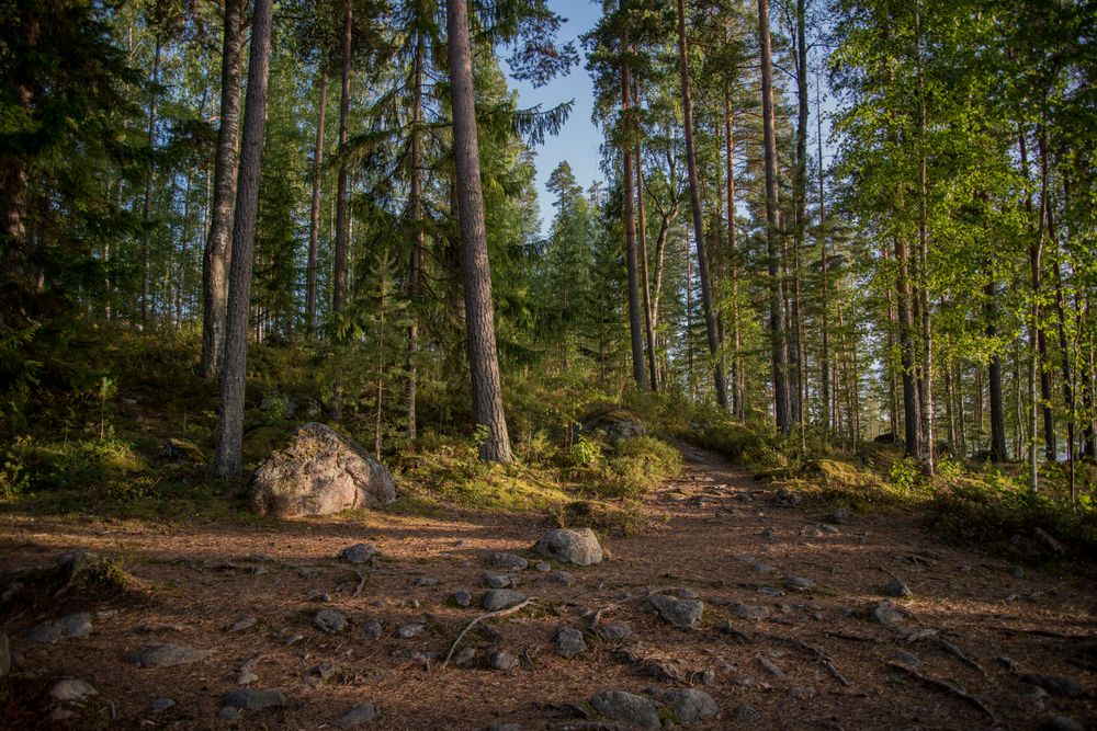 Nature, landscapes