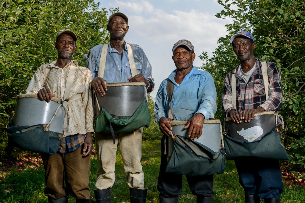 The Apple Pickers