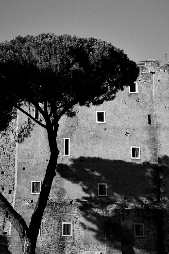 ROME (Lands)