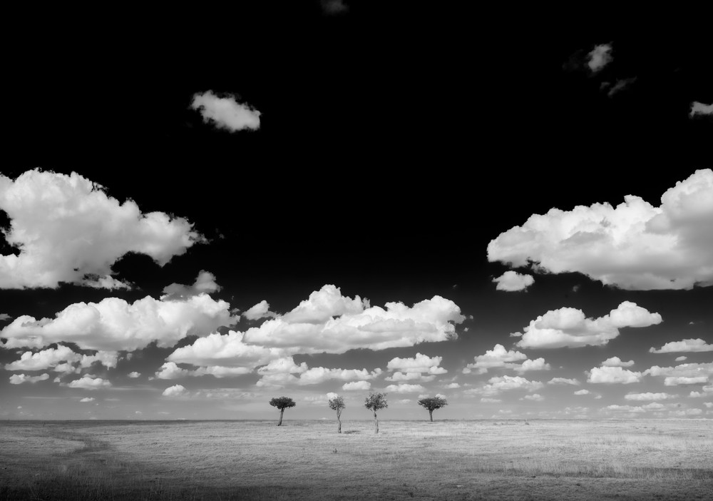 In Plain View: An Exploration of the Modern Prairie