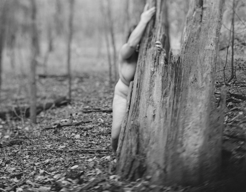 Provenance