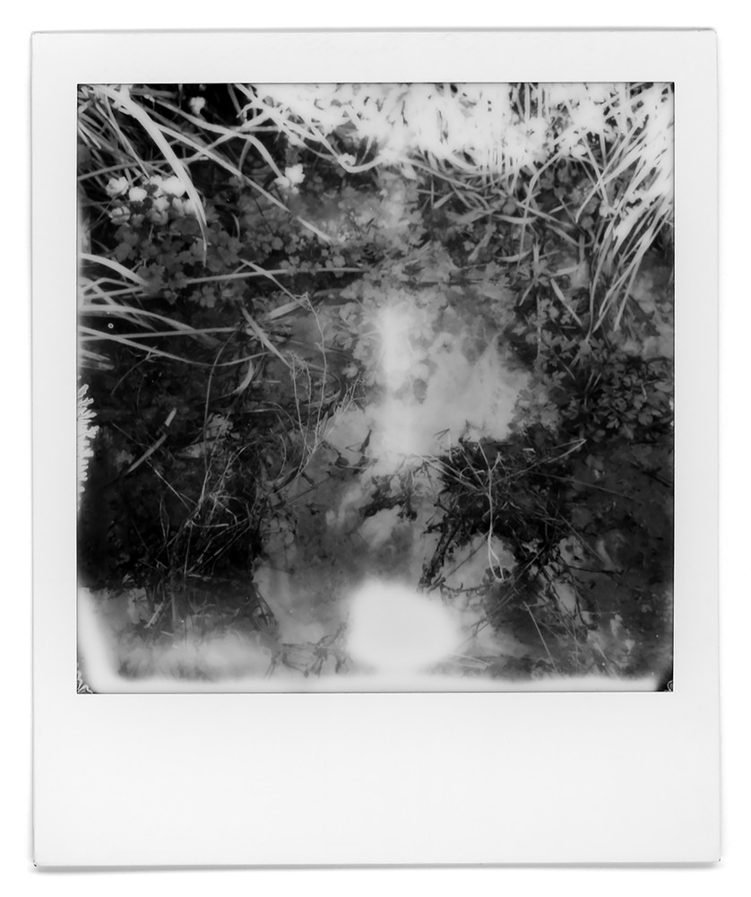 Miasma - (Ōhuiarangi Wetland, Pigeon Mountain)