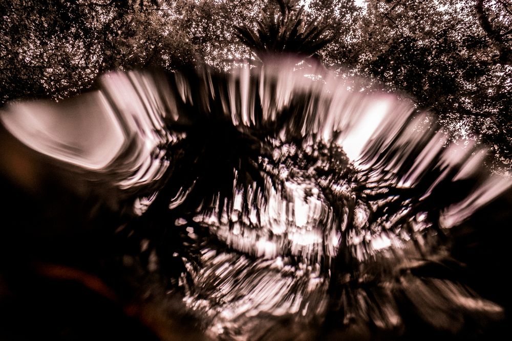 PhotoLyase
